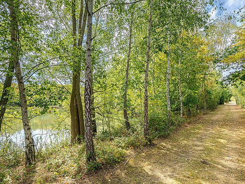 Location Creation:Essex barn:woodland and lake walk