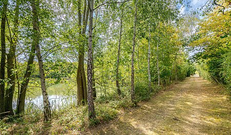 Location Creation:Essex barn:woodland and lake walk