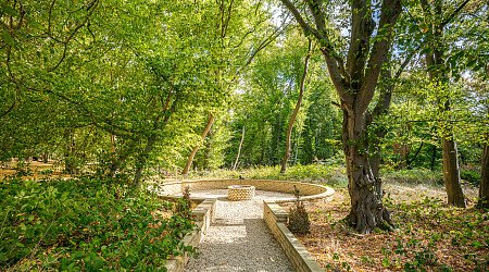 Location Creation:Essex barn:Woodland firepit