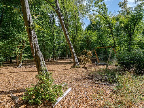 Location Creation:Essex barn:Woodland park 2