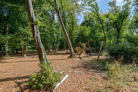 Location Creation:Essex barn:Woodland park 2
