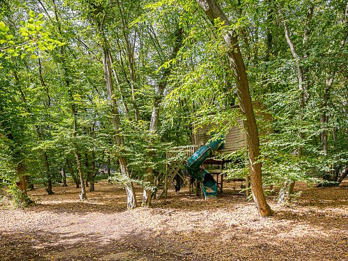 Location Creation:Essex barn:Woodland park