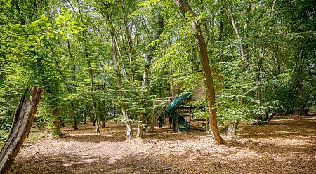 Location Creation:Essex barn:Woodland park