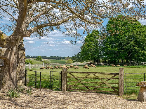 Location Creation: Kirby Farm: garden