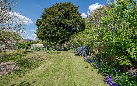 Location Creation: Kirby Farm:Garden (1)