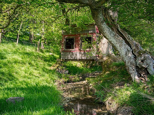 Location Creation: Kirby Farm:Garden