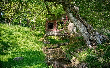 Location Creation: Kirby Farm:Garden