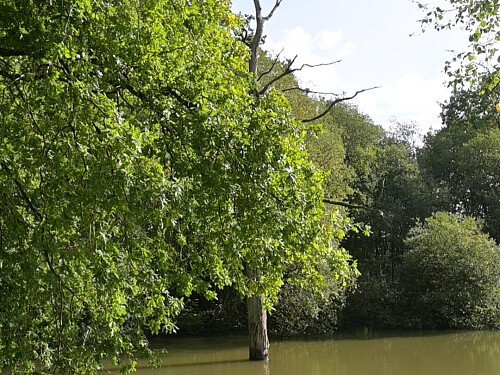 Image for Location 2643