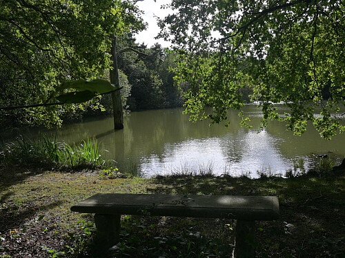 Image for Location 2643