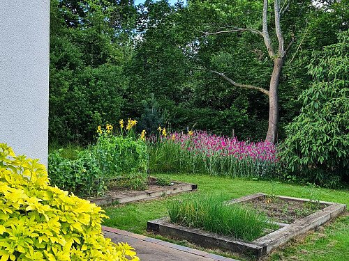 Image for Location 2642