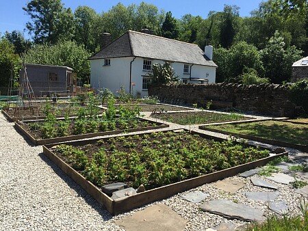 Veg Patch