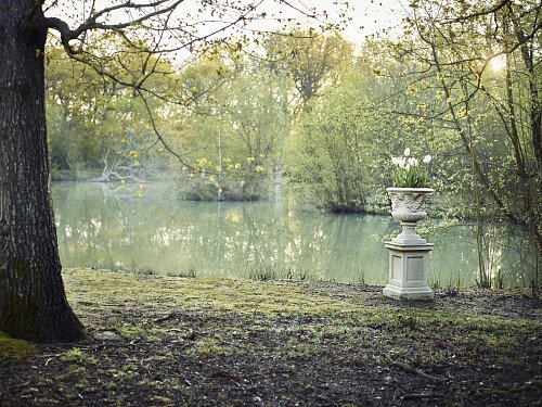 Image for Location 2643