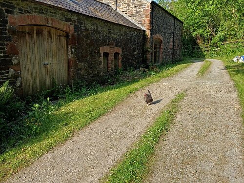 Image for Location 2656