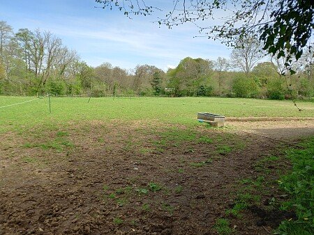 Back Paddock from Gate