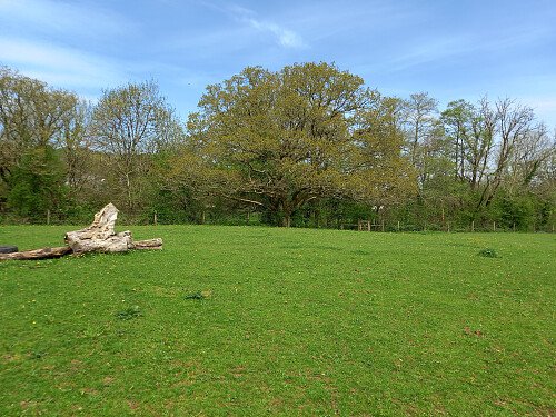 Image for Location 2656