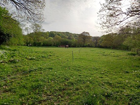 Back Paddock from Far End