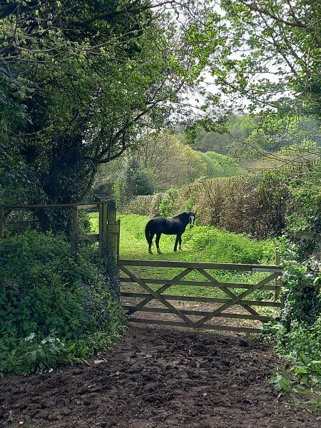 Route Back to Front Paddock