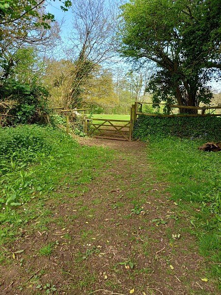 Route to Back Paddock