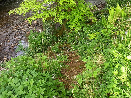 Image for Location 2656