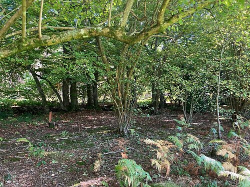 Image for Location 2672