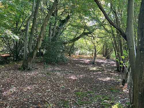 Image for Location 2672