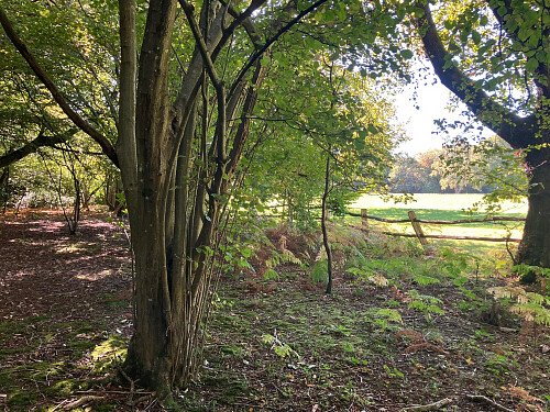 Image for Location 2672