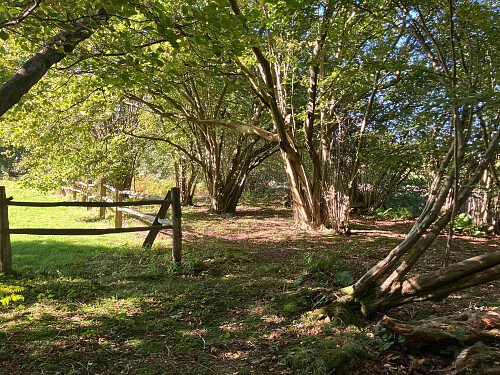 Image for Location 2672