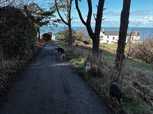 21CF8BDB-5F25-497D-BB79-DC8B4DC94F77