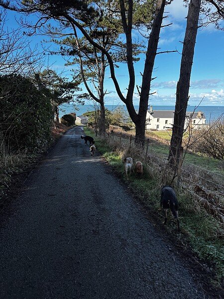 21CF8BDB-5F25-497D-BB79-DC8B4DC94F77