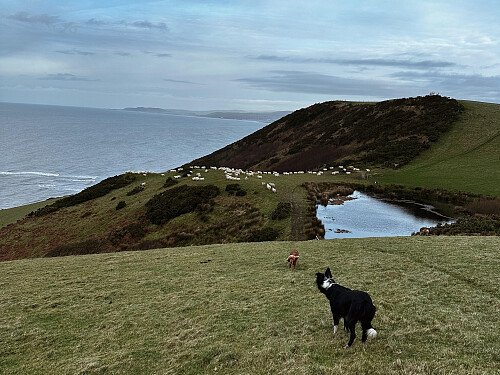 E73CC6B8-0E0A-40D7-81AE-033051D8F976