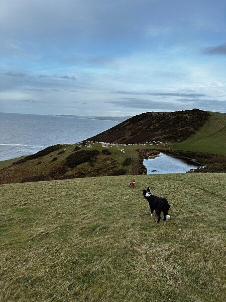 E73CC6B8-0E0A-40D7-81AE-033051D8F976