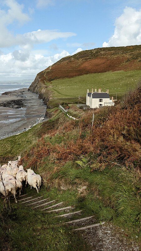 5804D634-7FF4-4F17-B72E-78FD768CB84A