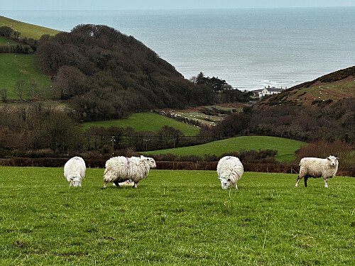 Image for Location 2709