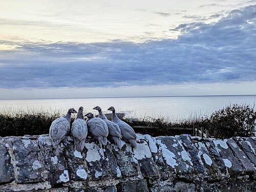 d6b19e2b-a5ff-4175-8896-6e18d5813b55_VSCO