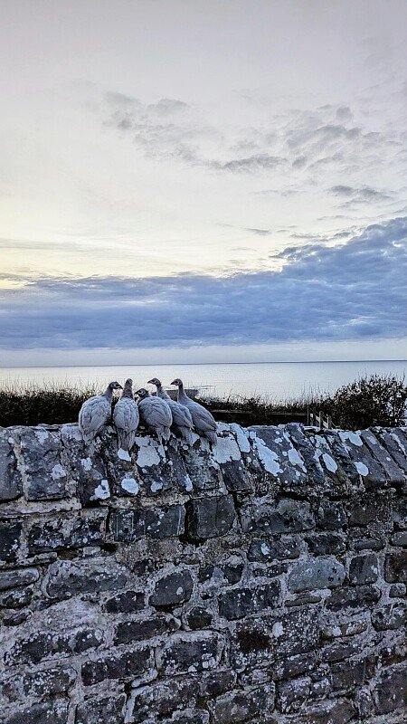 d6b19e2b-a5ff-4175-8896-6e18d5813b55_VSCO