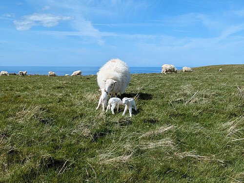 adcb750d-7ecd-402a-b9ca-3cd6f4270136_VSCO