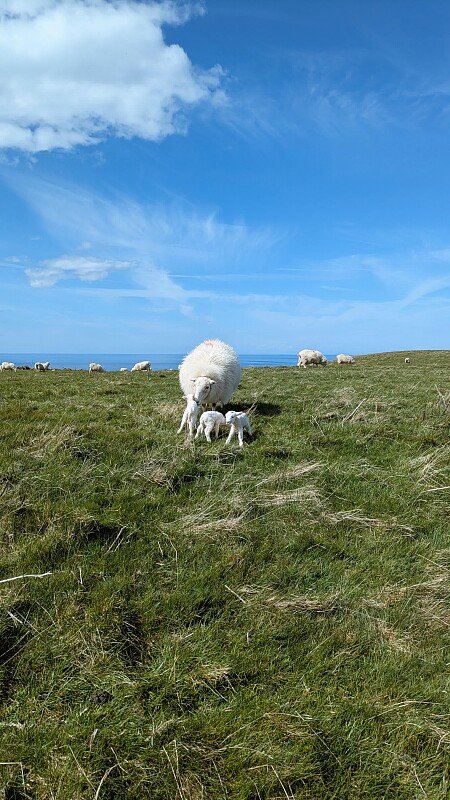 adcb750d-7ecd-402a-b9ca-3cd6f4270136_VSCO