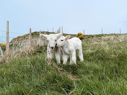 dcc022e4-b379-4233-a553-086981d4608c_VSCO