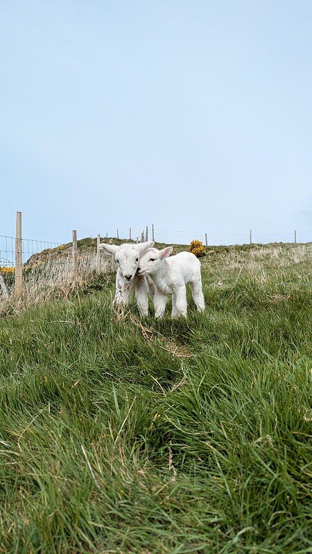 dcc022e4-b379-4233-a553-086981d4608c_VSCO