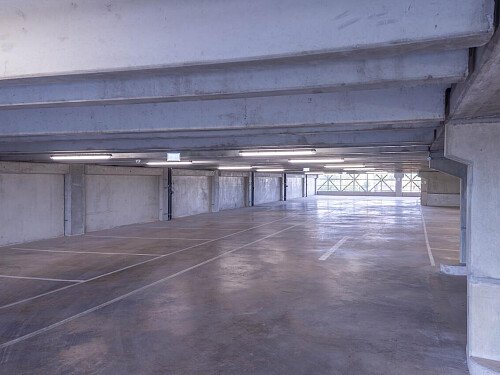 DSC08082-Enhanced-NR_EDITED