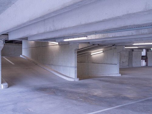 DSC08086-Enhanced-NR_EDITED