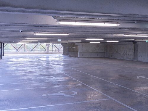 DSC08090-Enhanced-NR_EDITED