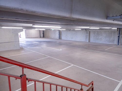 DSC08100-Enhanced-NR_EDITED