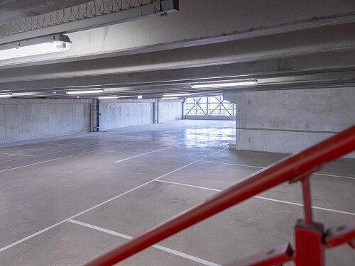 DSC08101-Enhanced-NR_EDITED