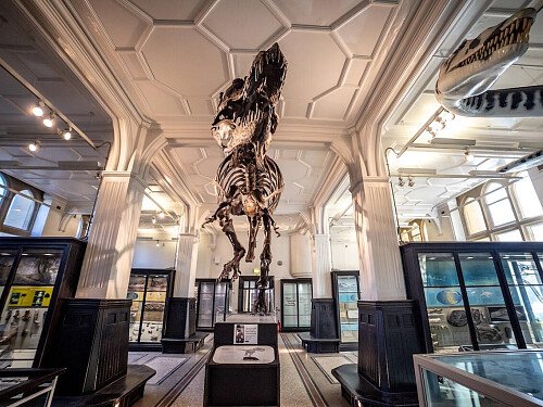 Manchester Museum Stock Photo-07