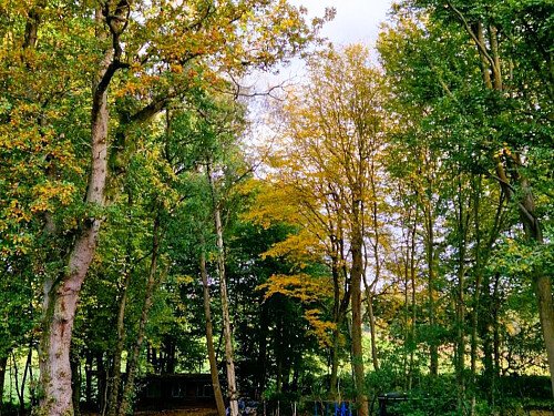 Image for Location 2718