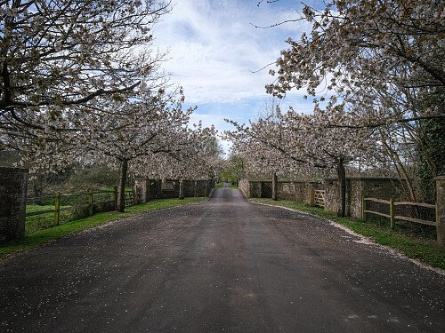 Image for Location 2736