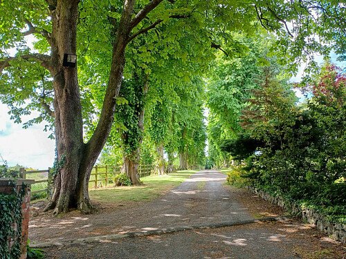 Image for Location 1903