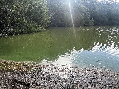 Image for Location 2741