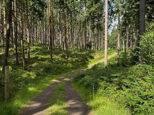 Image for Location 2743